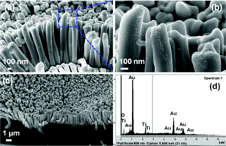 (a–c). FESEM images of Au–TiO2 core–shell nanowires. (d) EDS elemental analysis data of the as-grown Au–TiO2 core–shell nanowire arrays giving peaks for Au, Ti and O.