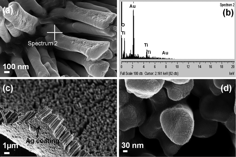 FESEM images of Au–TiO2 core–shell nanowire arrays; (a) top view of array of nanowires, (b) EDS elementary analysis data of the as grown Au–TiO2 core–shell nanowire arrays giving peaks for Au, Ti and O), (c) array of Au–TiO2 core–shell nanowires showing the Ag film on which they are supported, (d) highly magnified top view of the Au–TiO2 core–shell nanowires.