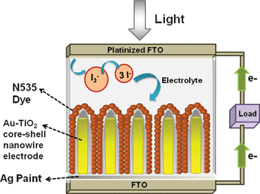 Schematic of assembled backside illuminated Au–TiO2 nanowire DSSC or TiCl4 treated Au–TiO2 core–shell DSSC.