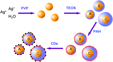 Schematic representation of the preparation of the CDs-adsorbed Ag@SiO2 composite nanoparticles.