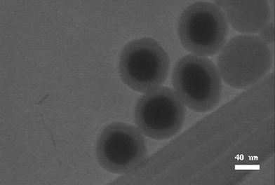 
          TEM image of Ag@SiO2 core-shell nanoparticles with the shell thickness of 20 nm (CNP-B).