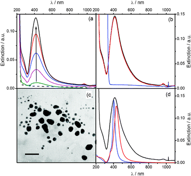 (a) UV-Vis extinction spectra for 0.1 mM AgNO3, 1 mM NaOH solutions: (---) after 30 days of aging at 2 °C, and during 30 days of aging at 25 °C: (green) 1, (pink) 6, (blue) 9, (red) 15, and (black) 30 days. (b) UV-Vis extinction spectra of (black) 30 days-aged 0.1 mM AgNO3, 1 mM NaOH solution after its reaction with: (red) NH3 and (blue) HNO3. (c) TEM image of AgNPs produced in a 0.1 mM AgNO3, 1 mM NaOH solution aged 30 days at 25 °C (scale bar: 50 nm). (d) Extinction profiles obtained with Mie theory for silver spheres with diameter of: (blue) 30 and (red) 60 nm. (black) UV-Vis spectrum of a 30 days-aged 0.1 mM AgNO3, 1 mM NaOH solution.