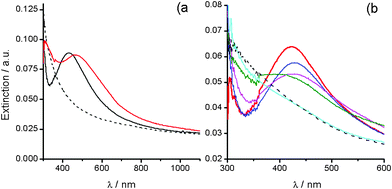 (a) UV-Vis extinction profile for deposits on glass obtained from silver (i)/alkali solutions drying: (---) at 2 °C and (black) at 25 °C. (red) deposit prepared at 2 °C after 2 min. annealing at 200 °C. (b) Evolution of the extinction profile of an annealed deposit during its re-oxidation with atmospheric oxygen at room-temperature: (red) 0 (blue) 1, (pink) 24, (green) 36, (cyan) 52 and (---) 63 days.