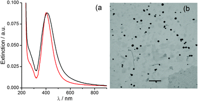 a) UV-Vis extinction spectra for AgNPs produced by thermal decomposition of silver (i)/alkali solutions (0.1 mM AgNO3, 1 mM NaOH): (black) 10 days at 25 °C, and (red) 1 h at 98 °C. b) TEM image of the AgNPs produced by the thermal decomposition of a 0.1 mM AgNO3, 0.2 mM NaOH, 1 mM NH3 solution at 98 °C for one hour. Scale bar = 200 nm.