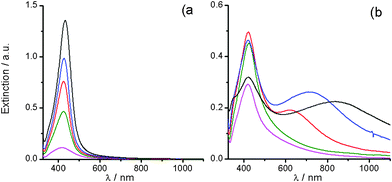 UV-Vis extinction spectra evolution during the aging at 25 °C of silver (i)/alkali solutions prepared with water/acetone mixtures having water volume percent fraction of: (a) 50% and (b) 25%. Reaction time: (pink) 1, (green) 5, (red) 15, (blue) 26, and (black) 102 days. Silver (i)/alkali solution 0.1 mM AgNO3, 0.2 mM NaOH, 1 mM NH3.