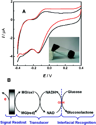 (A) Bioelectrocatalytic oxidation of glucose at the multifunctional gel based biosensor in 0.1 M phosphate buffer (pH 7.0) in the absence (black current) or presence (red curve) of 40 mM glucose. Scan rate, 1 mV s−1. Inset, digital picture of the prepared multifunctional gel. (B) Illustration of the reaction schemes involved in the bioelectrocatalytic oxidation of glucose at the multifunctional gel based biosensor.108 Methylene green (MG) was used together with NADH as transducers.