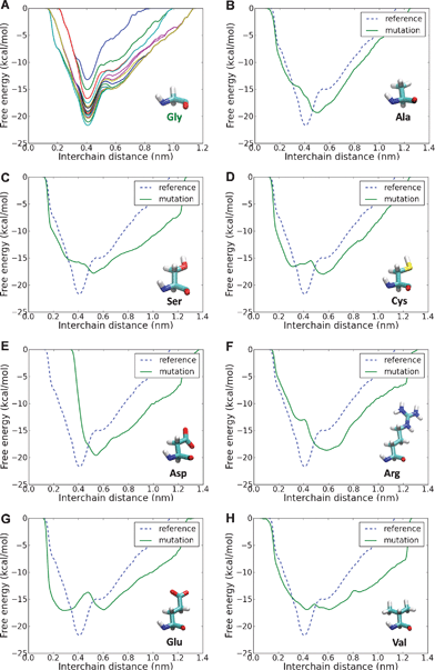 Free energy profile as a function of interchain distance for different glycine substitutions. In order to monitor the convergence of the metadynamics runs, we plot the free energy profile every 4 ns and consider the calculation converged when the free energy profile does not change significantly as the simulation proceeds. This is presented for the reference case (panel A), which shows that the free energy profile converges within the 100 ns simulations and presents a well-defined energy minimum for an interchain distance of 0.4 nm. The free energy profile is then calculated for the different OI-related mutations (panels B–F) and the profiles are compared to the reference case (dashed line). The results show that mutations hinder the well-defined energy minimum found in the reference cases, leading to a profile with a shallower minimum shifted to higher interchain distances, which reflects a destabilization of the local folding.