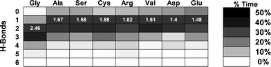 Effects of mutation type on interchain H-bonds. The most evident effect of the local unfolding is the disruption of the interchain H-bonding as shown by the average number of local backbone-backbone H-bonds, which decreases in the presence of a glycine substitution. The figure shows the percentage of time (depicted with gray scales) spent forming a specific number of H-bonds (where 6 is the maximum possible) for each of the 8 cases considered. The numbers in white give the average number of H-bonds formed. In the reference case the average is found to be 2.46 H-bonds, whereas in the mutated cases the average is shifted towards lower values. For the calculation of H-bonds we consider only the time frames in which the interchain distance is within ±0.1 nm of the energy minimum.