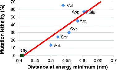 OI phenotype correlates with collagen unfolding. Glycine substitutions lead to local unfolding of the collagen triple helix, measured by the increase in the local interchain distance, which correlates well with the lethality of the mutations. The lethality is given by the percentage of OI type II (the most severe/lethal form) cases for each type of mutation. Data on lethality are taken from ref. 7.