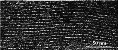 TEM image of the assembled 3.4 nm diameter TiO2 nanowires.