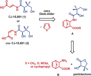 Retrosynthesis.