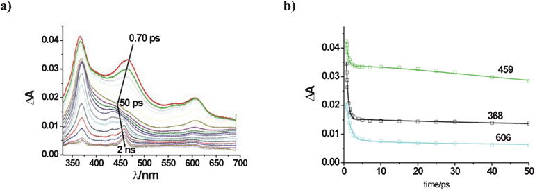 Transients formed upon excitation of a 7 × 10−4 M solution of TCB in MeCN in the presence of 0.2 M triethylamine. (a) Absorbance changes; b) Reproduction of absorbance changes at key wavelengths, as obtained by global kinetic analysis (see text).