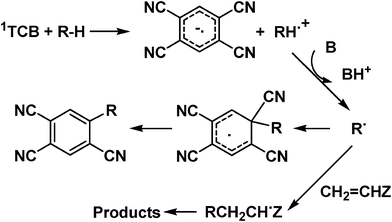 Photoinduced Activation of the C–H bond by TCB.