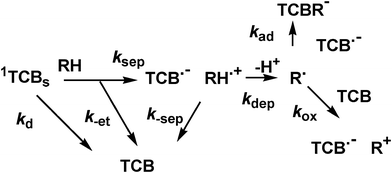 ‘Late’ events in the photochemistry of TCB.