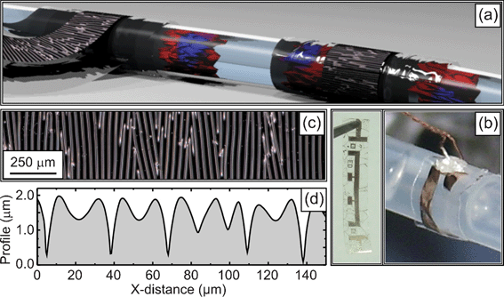 (a) Sketch demonstrating the application of stretchable magnetic sensors for in-flow detection of magnetic objects in fluidics: the elastic sensor can be tightly wrapped around a fluidic channel allowing for an enhanced and isotropic sensitivity. (b) Elastic [Py/Cu]30GMR sensor: (left panel) as-prepared and (right panel) wrapped around the circumference of a Teflon tube. (c) Optical microscopy image of a wrinkled [Py/Cu]30 magnetic sensor prepared on an elastic PDMS membrane. (d) Line scan taken of the confocal microscopy image (Experimental section) revealing the topography of the wrinkled GMR multilayer stack.