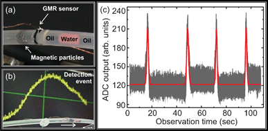 
          Detection of magnetic particles in a fluidic channel: (a) optimized [Py/Cu]30 elastic GMR sensor wrapped around the circumference of a Teflon tube. Agglomerate of FeNdB particles suspended in oil and separated by colored water droplets inside the tubing is shown. The magnetic particles are approaching the GMR sensor. (b) Signal of the elastic GMR sensor on a screen (background) as the magnetic cluster is passing the sensor (foreground). (c) Several consecutive detection events of particles passing the elastic GMR sensor.