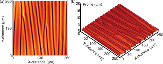 Thermally induced wrinkling of GMR multilayers with optimized sensitivity ([Py/Cu]30 multilayer stack coupled in the 2nd AF maximum) on top of a free-standing rubber membrane. Confocal microscopy image of the sample surface: (a) 2D image and (b) 3D image.