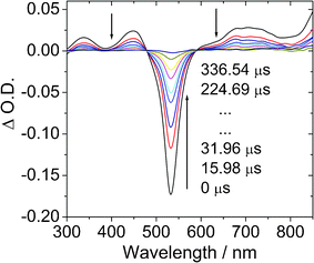 Transient difference absorption spectra of BI-1 after pulsed laser excitation (λex = 532 nm). c = 1.0 × 10−5 M in deaerated toluene. 20 °C.