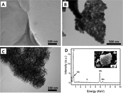 
            TEM images of (A) GO nanosheet and (B) (C) GO/MnO2 nanocomposites at different magnification; (D) EDX of GO/MnO2 nanocomposites. Inset: SEM image of GO/MnO2 nanocomposites.