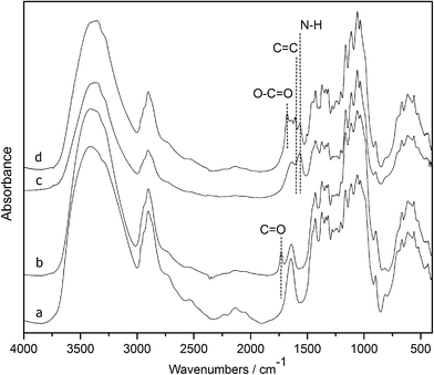 FT-IR spectra of (a) nanowhiskers, (b) DAC, (c) DAC-GABA, and (d) DAC-GABA-SA.