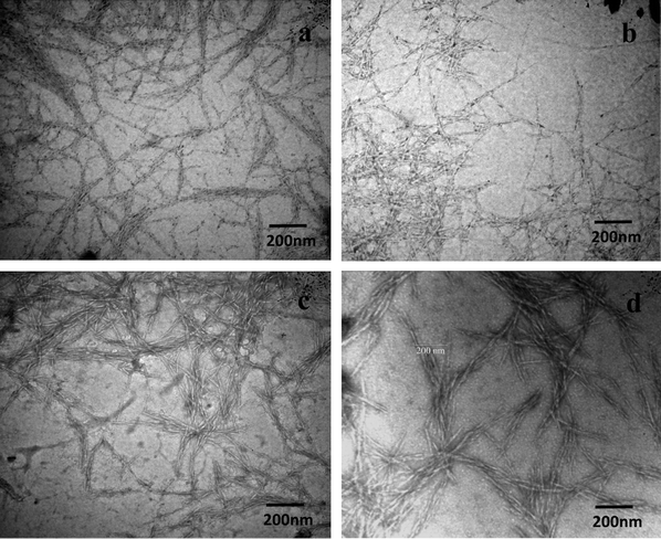 TEM images of 0.02 wt% suspensions of (a) nanowhiskers, (b) DAC, (c) DAC-GABA, and (d) DAC-GABA-SA.