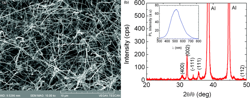 (a) β-Ga2O3 NWs obtained on 0.7 nm Au/p+Si(001); (b) XRD of the Ga2O3 NWs obtained on 0.7 nm Au/Si(001) corresponding to the monoclinic crystal structure of β-Ga2O3. The inset shows the PL.