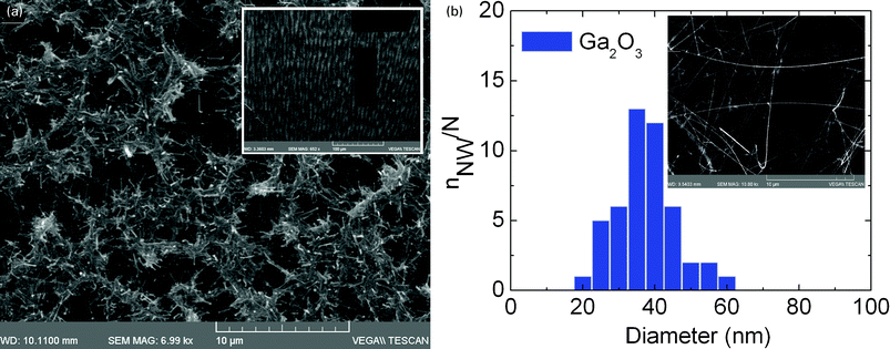 (a) SEM image of β-Ga2O3 NWs grown using LauMA277-b-AEMA81 Au MNPs and high density of 17 900 mg l−1; (b) Statistical distribution of β-Ga2O3 NWs diameters shown in the inset, obtained using LauMA277-b-AEMA81 Au MNPs with a density of 1790 mg l−1.