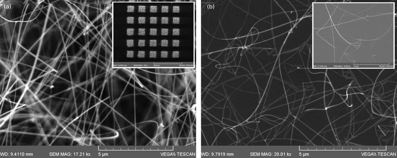 (a) SEM images of free standing SnO2 NWs obtained on 1.0 nm Au/Si(001); inset shows selective area growth on 80 × 80 μm 1 nm thick Au fabricated by EBL on Si(001); (b) SnO2 NWs grown with LauMA50-b-AEMA9 Au MNPs; inset shows intricate network of SnO2 NWs on the surface of Si(001).