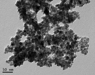 
          TEM image of 7 showing its tendency to aggregate upon drying.