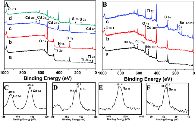 XPS survey spectra of A: (a) TiO2 NTs, (b) initiator modified TiO2 NTs, (c) TiO2 NTs-PMAA-Cd, (d) TiO2 NTs-PMAA-CdS. B: (a) TiO2 NTs-PMAA-CdS-Na, (b) TiO2 NTs-PMAA-CdS-Cd, (c) TiO2 NTs-PMAA-CdS-CdSe. (C): XPS survey spectra of Cd (3d) of TiO2 NTs-PMAA-Cd. (D): S (2p) of TiO2 NTs-PMAA-CdS. (E): Na (1s) of TiO2 NTs-PMAA-CdS-Na. (F): Se (3d) of TiO2 NTs-PMAA-CdS-CdSe.