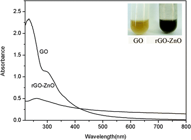 
          UV-vis spectra of aqueous dispersion of GO and the resulting rGO–ZnO composites. Inset: photographs of dispersion of GO (left) and rGO–ZnO (right).