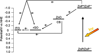 Schematic illustration for the energy diagram.