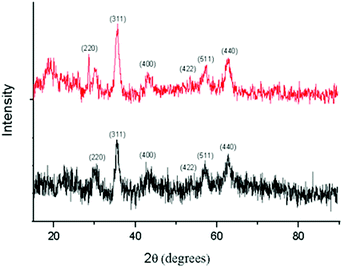 
              XRD patterns of IONPs (black) and 5-FU tagged IONPs (red).