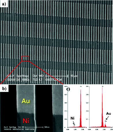 
          Scanning electron microscopy (SEM) images of (a) Au–Ni multi-segment line pattern and (b) the Au–Ni junction. (c) Energy dispersive spectroscopy (EDS) peaks of Au, Ni and Si wafer. SEM (Sirion FE-SEM, FEI) images and EDS peaks were obtained by collecting the secondary electrons produced by irradiating the sample with an incident electron beam of energy 10 kV.