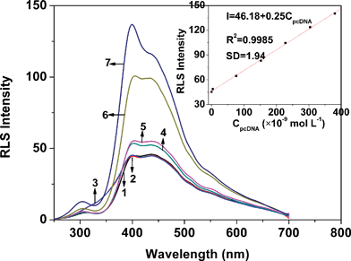 The RLS spectra of ssDNA (curve 1), dsDNA (curve 2), H33258 (curve 3) and H33258 in the presence of ssDNA (curve 4), pncDNA (curve 5), pomDNA (curve 6) and pcDNA (curve 7). All types of DNA were kept at 2.5 × 10−7 mol L−1; the concentration of H33258 was 1.0 × 10−5 mol L−1; pH 7.4. The inset shows the RLS intensities of H33258–pcDNA measured at 399.5 nm versus the pcDNA concentration.