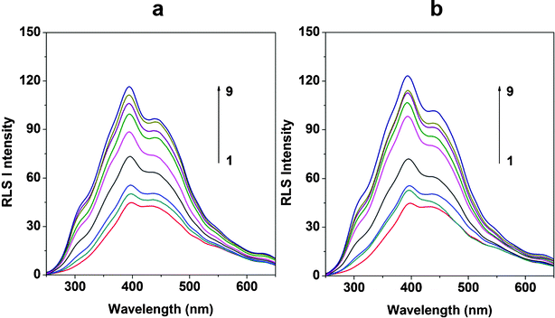 RLS spectra of MIT–dsDNA (a) and MIT–ssDNA (b). The concentration of MIT was 4.0 μg mL−1; the concentrations of DNA (μg mL−1) were: 1–9: 0, 0.2, 0.4, 0.8, 1.2, 1.6, 2.0, 2.4, 2.8; pH 7.4.