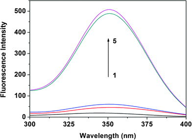 Fluorescence excitation spectra of H33258 in the absence and presence of ssDNA and dsDNA. Curve 1 represents the fluorescence excitation spectrum of H33258 at 1.0 × 10−6 mol L−1. Curves 2–5 represent fluorescence excitation spectra of H33258 in the presence of ssDNA, pncDNA, pomDNA, and pcDNA, respectively; the DNA concentration was 5.0 × 10−7 mol L−1; pH 7.4.