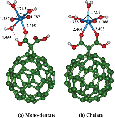 Binding of uranyl with neutral malonic acid functionalized C60 fullerene.