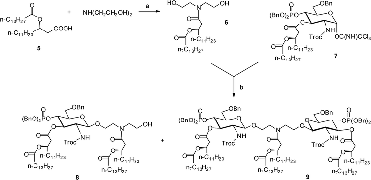 Reagents and conditions: (a) HBTU, (iPr)2NEt, DMF, 68%; (b) TMSOTf, CH2Cl2, 53% for 8 and 15% for 9.