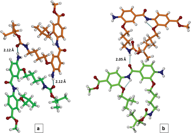 Formation of an intermolecular H-bonding network between dimer 7 molecules in crystal: amine/amide (panel a) and amide/amide (panel b) contacts.