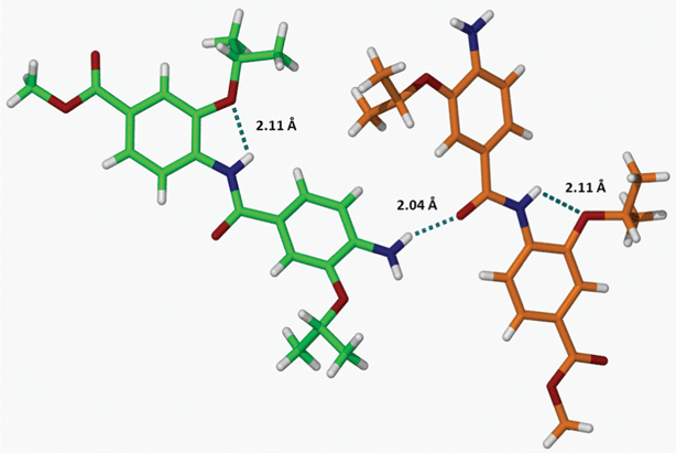 Formation of an intermolecular H-bonding network between dimer 14a molecules through the interaction of NH2 and CONH groups.