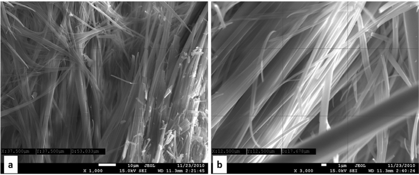 
              SEI images of dimer 7: the formation of microfibrillar network (panel a, scale bar 10 μm, magnification 1k; panel b, scale bar 1 μm, magnification 3k) .