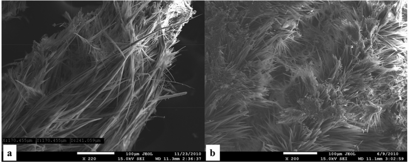 
              SEI images of NH2-dimer 7 (panel a) vs.NO2-dimer 6 (panel b); scale bar 100 μm.