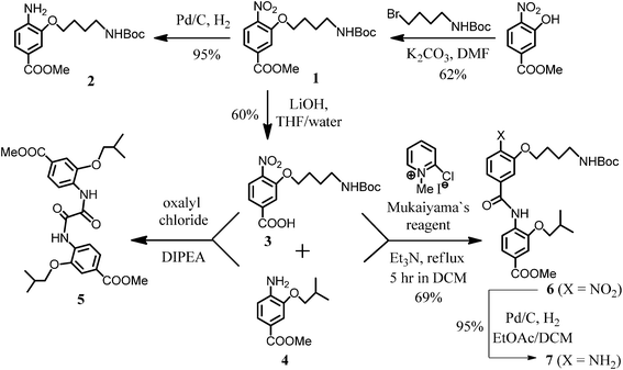 Synthesis of amide oligomers precursors.