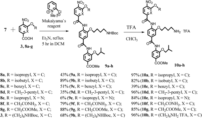 Synthesis and deprotection of aryl trimers.