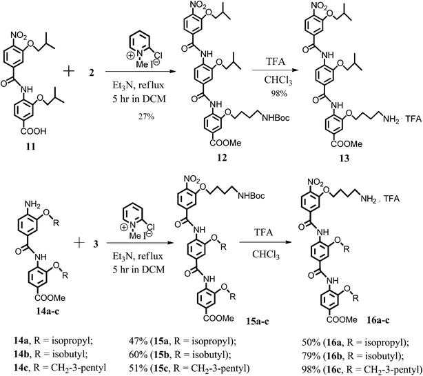 Synthesis of the structural analogues 13, 16a–c.