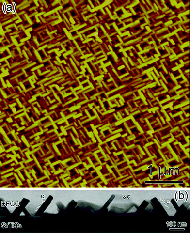 (Color online) (a) Typical atomic force microscopy image of the 10-H hexagonal BFCO nanosheet structure (top view). (b) The low magnification cross-sectional TEM micrograph of 10-H hexagonal BFCO thin films grown on (001) SrTiO3 substrates.