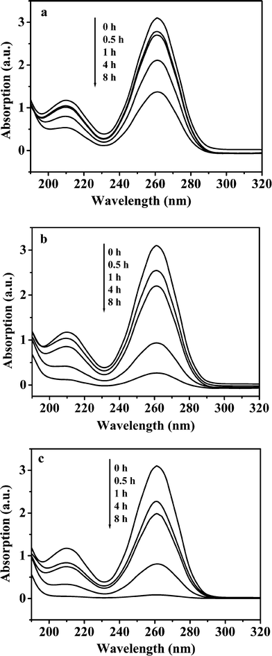 Effect of metal ions on decomposition of TAA at 80 °C in the presence of 0.50 mol L−1 NaCl (dilution 1:1000). (a) 0.050 mol L−1 Zn2+; (b) 0.10 mol L−1 In3+; (c) 0.050 mol L−1 Zn2+ + 0.10 mol L−1 In3+.