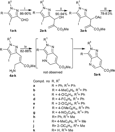 
          Reagents and conditions: (i) methyl acrylate (1.1 eq), neat, rt, 36–48 h; (ii) AcCl (1.5 eq), Py (1.3 eq), CH2Cl2, 0 °C-rt, 1 h; (iii) NH3–MeOH, rt, 30 min; iv) CuI (0.1 eq), l-proline (0.2 eq), K3PO4 (2.0 eq), DMSO, 80 °C, 12 h.