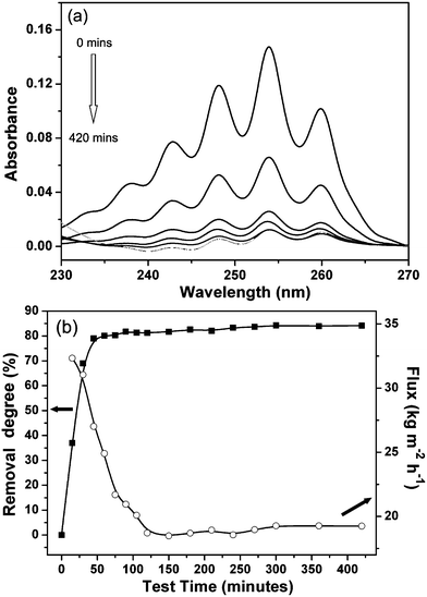 (a) UV spectra of benzene in feed solution (0 min) and permeated solutions collected at different time (15, 30, 45, 60, 420 min), and (b) removal degree (square) and flux (open circle) as a function of time.